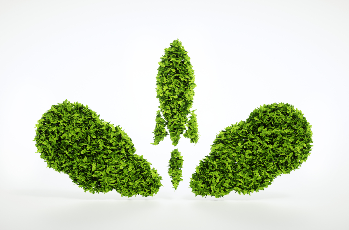 成都貨物（道路）運(yùn)輸許可證辦理流程、所需材料，辦理?xiàng)l件。